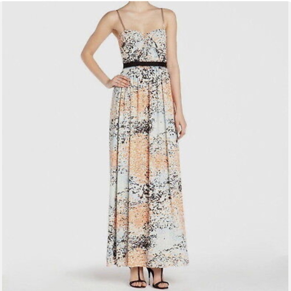 BCBG Maxazria Amber Floral Print Gown Size 0